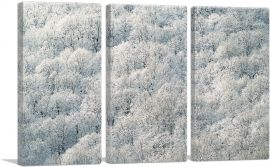 Winter Forest Home decor-3-Panels-90x60x1.5 Thick