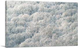 Winter Forest Home decor-1-Panel-60x40x1.5 Thick