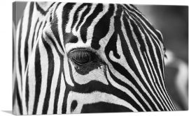 Zebra Face Home-1-Panel-18x12x1.5 Thick