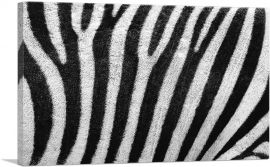 Zebra Stripe Pattern-1-Panel-26x18x1.5 Thick