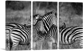 Zebras Home Decor Rectangle-3-Panels-90x60x1.5 Thick