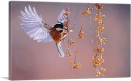 Bird Flying Over Berries Home decor-1-Panel-18x12x1.5 Thick