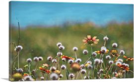 Dandelions Field and Orange Flowers-1-Panel-40x26x1.5 Thick