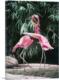 Flamingos in Love Intertwine Necks