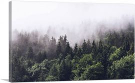 Foggy Forest Woods Canopy-1-Panel-12x8x.75 Thick