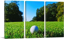 Golf Ball in Grass-3-Panels-60x40x1.5 Thick