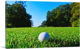 Golf Ball in Grass-1-Panel-26x18x1.5 Thick