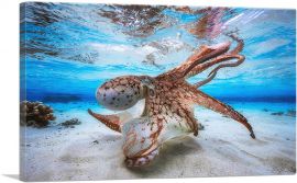 Octopus in Shallow Ocean Water-1-Panel-26x18x1.5 Thick