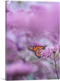 Orange Butterfly on Pink Flower-1-Panel-40x26x1.5 Thick