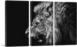 Roaring Lion Black and White-3-Panels-90x60x1.5 Thick