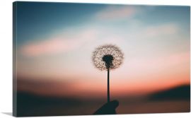 Single Dandelion in a Sunset-1-Panel-26x18x1.5 Thick