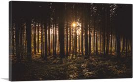Sunset Shining Through a Thick Forest-1-Panel-40x26x1.5 Thick