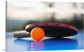 Table Tennis Orange Ping Pong Ball Racket-1-Panel-12x8x.75 Thick