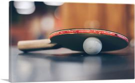 Table Tennis Ping Pong Ball Racket-1-Panel-18x12x1.5 Thick