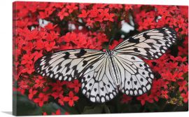 Butterfly On Red Flowers Home decor-1-Panel-18x12x1.5 Thick