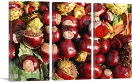 Chestnuts Home decor-3-Panels-60x40x1.5 Thick