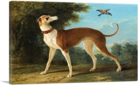 Greyhound In a Landscape 1746-1-Panel-26x18x1.5 Thick