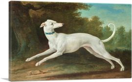 White Greyhound 1748-1-Panel-12x8x.75 Thick