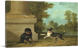 Dogs Playing With Birds In a Park 1754-1-Panel-12x8x.75 Thick