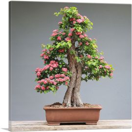 Bonsai, Japanese Mini Tree-1-Panel-36x36x1.5 Thick