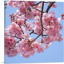Cherry Blossom Branch Square-1-Panel-18x18x1.5 Thick