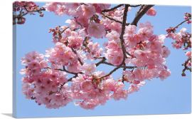 Cherry Blossom Branch-1-Panel-18x12x1.5 Thick