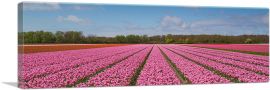 Pink Tulips Field Panorama-1-Panel-60x20x1.5 Thick