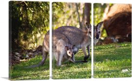 Native Australians Wallaby Mother and Baby-3-Panels-90x60x1.5 Thick