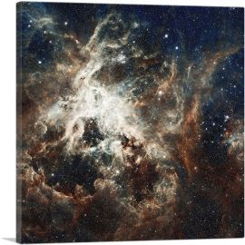 Clouds in the Galaxy Hubble Telescope NASA Photograph-1-Panel-18x18x1.5 Thick
