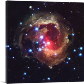 V838 Monocerotis The Bright Red Star-1-Panel-18x18x1.5 Thick