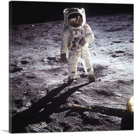 American NASA Astronaut John Young Moonwalks-1-Panel-18x18x1.5 Thick