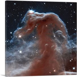Horsehead Nebula Barnard 33 Hubble Telescope NASA-1-Panel-36x36x1.5 Thick