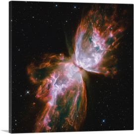 Hubble Telescope Butterfly Nebula NGC 6302-1-Panel-26x26x.75 Thick