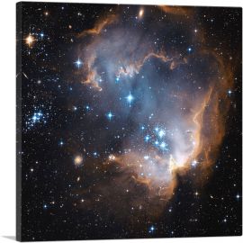 Hubble Telescope New Stars Shed Light on the Past N90-1-Panel-12x12x1.5 Thick