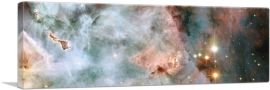Hubble WR25 and TR16-244 in the Carina Nebula-1-Panel-48x16x1.5 Thick