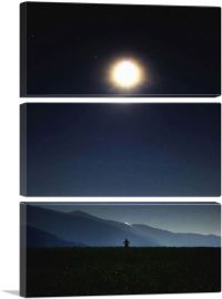 Man Standing Looking at Bright Moon in the Night-3-Panels-60x40x1.5 Thick