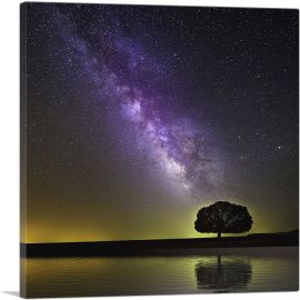 Milky Way Galaxy and Tree-1-Panel-12x12x1.5 Thick