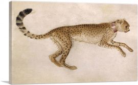 Cheetah 1430-1-Panel-12x8x.75 Thick