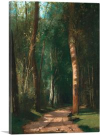 Driveway In a Forest 1859-1-Panel-26x18x1.5 Thick