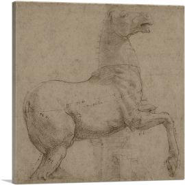 A Marble Horse on the Quirinal Hill 1513-1-Panel-12x12x1.5 Thick