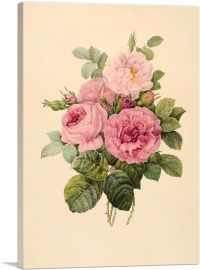 Pink Roses-1-Panel-12x8x.75 Thick