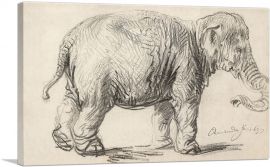 An Elephant 1637-1-Panel-12x8x.75 Thick