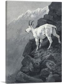 Rocky Mountain Goat 1888-1-Panel-12x8x.75 Thick