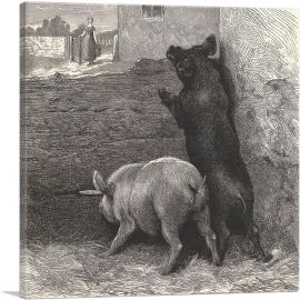 Expectation From The Graphic 1871
