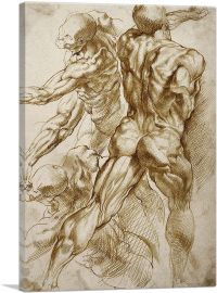 Anatomical Studies 1605-1-Panel-40x26x1.5 Thick