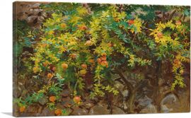 Pomegranates Majorca 1908-1-Panel-12x8x.75 Thick