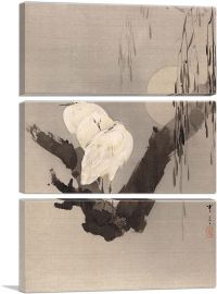 Egrets In a Tree At Night-3-Panels-60x40x1.5 Thick