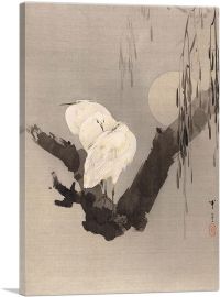 Egrets In a Tree At Night-1-Panel-12x8x.75 Thick