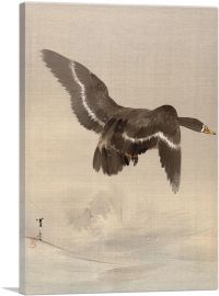 Flying Goose-1-Panel-40x26x1.5 Thick
