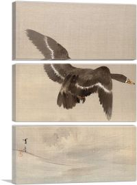 Flying Goose-3-Panels-90x60x1.5 Thick